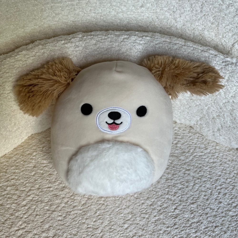 Squishmallows Meggie the Maltipoo Plushie